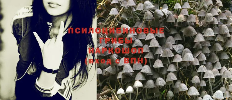 закладки  omg рабочий сайт  Псилоцибиновые грибы Magic Shrooms  Заозёрный 